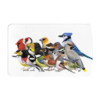 Година на птици-Птиците в Северна Америка И Европа 3 размера Домашен килим Килим за стаята Наблюдение на птици Орнитология Природа Студентски сряда